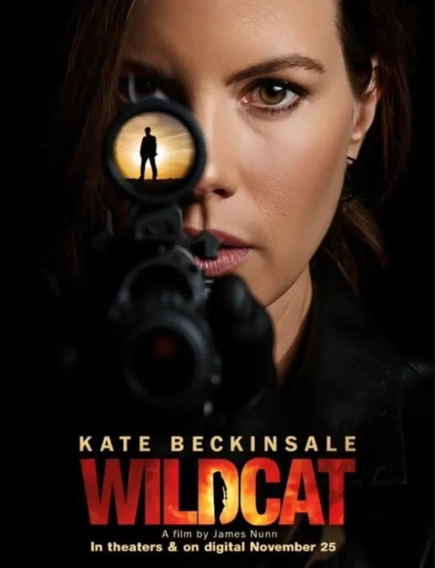 와일드캣 관련 사진