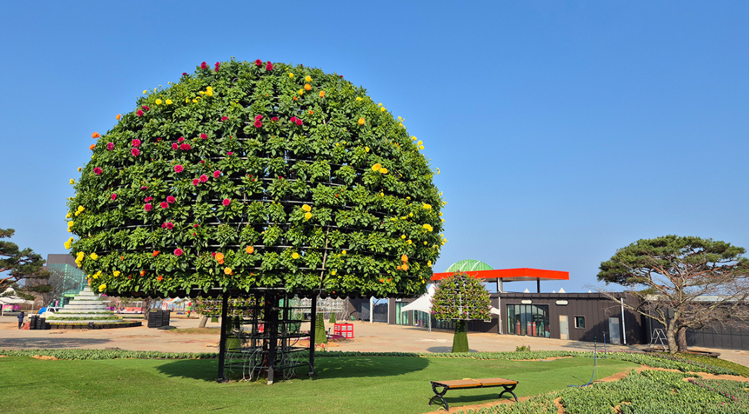 2025 태안 세계 튤립 꽃 박람회