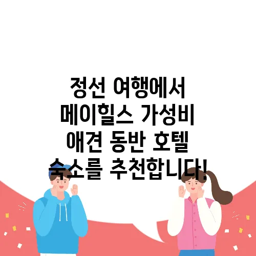 정선 여행에서 메이힐스 가성비 애견 동반 호텔 숙소를 추천합니다!