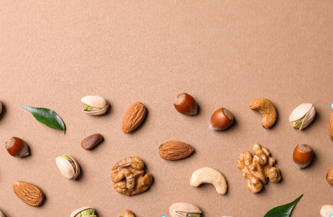 고지혈증 견과류