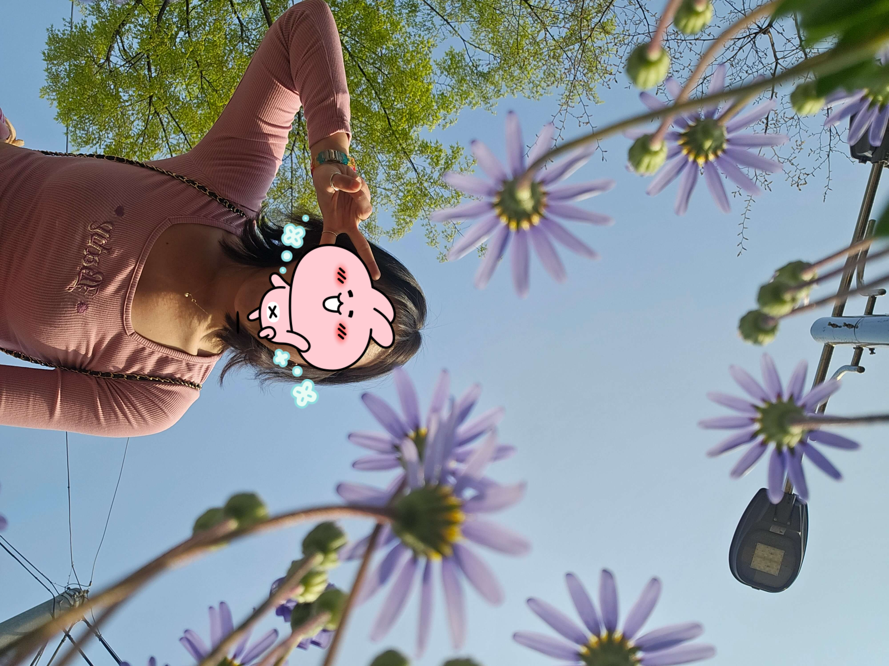 서울시내벚꽃명소 성북천에서 벚꽃놀이