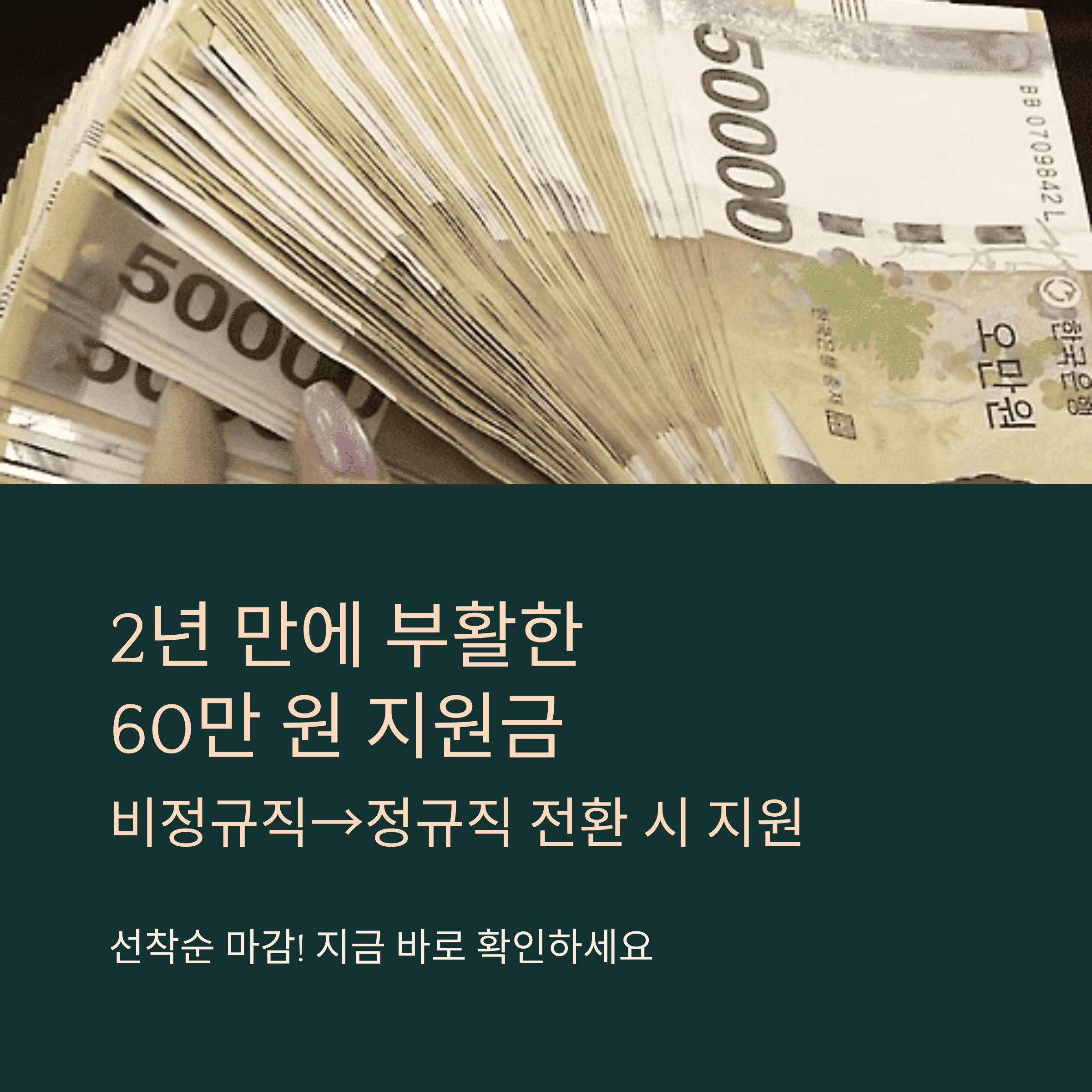 2026 정규직 전환 지원금 대상 신청