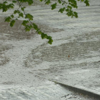 장마철 신발 관리