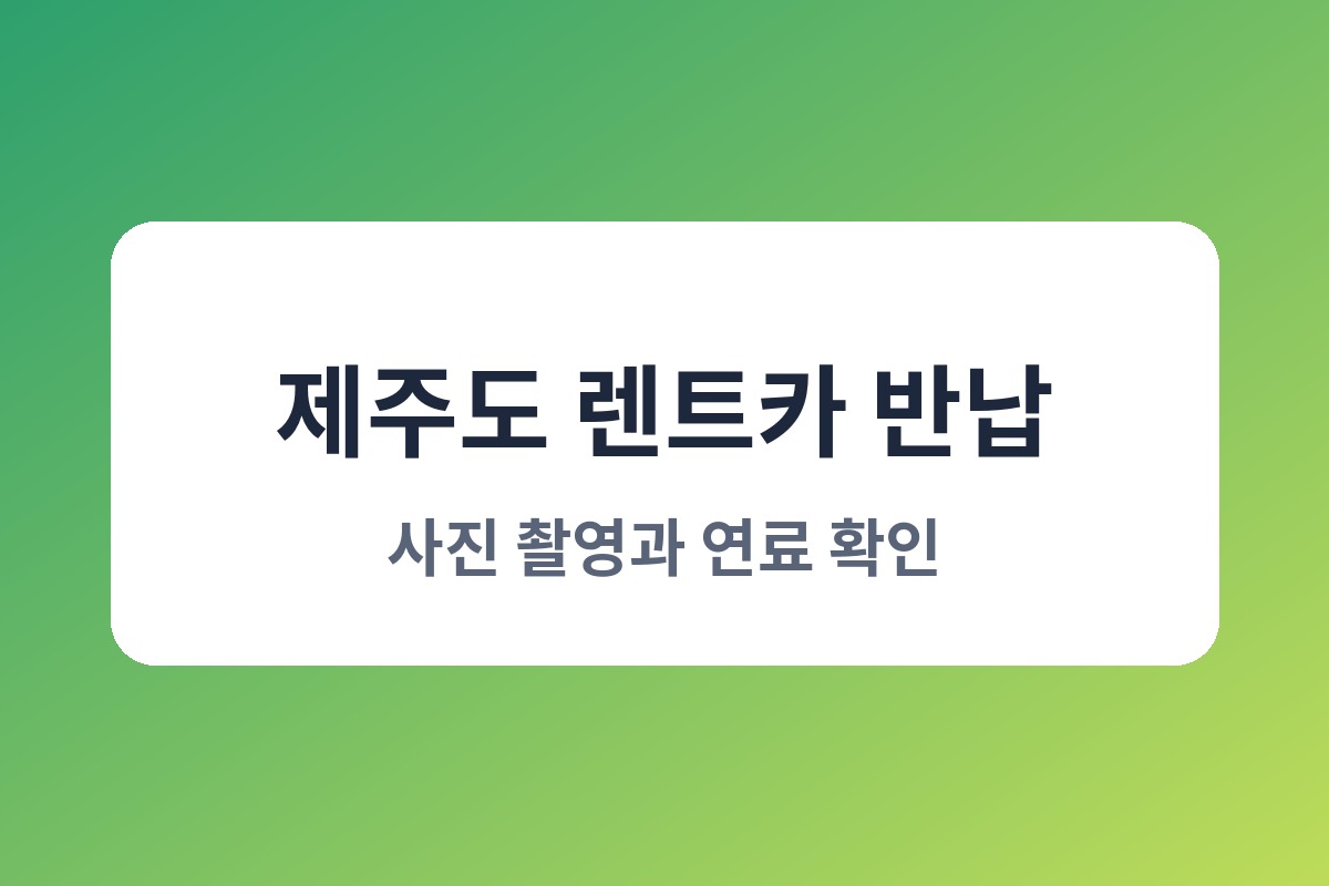 제주 렌트카 비교사이트