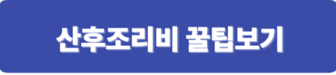 산후조리비 지원금 글