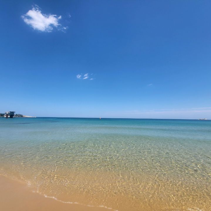 송지호해수욕장