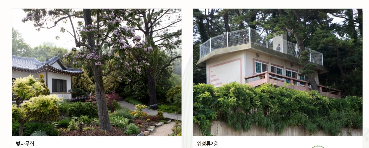 천리포수목원 목련축제｜비공개 정원 개방, 숙박, 온라인예약 팁까지!