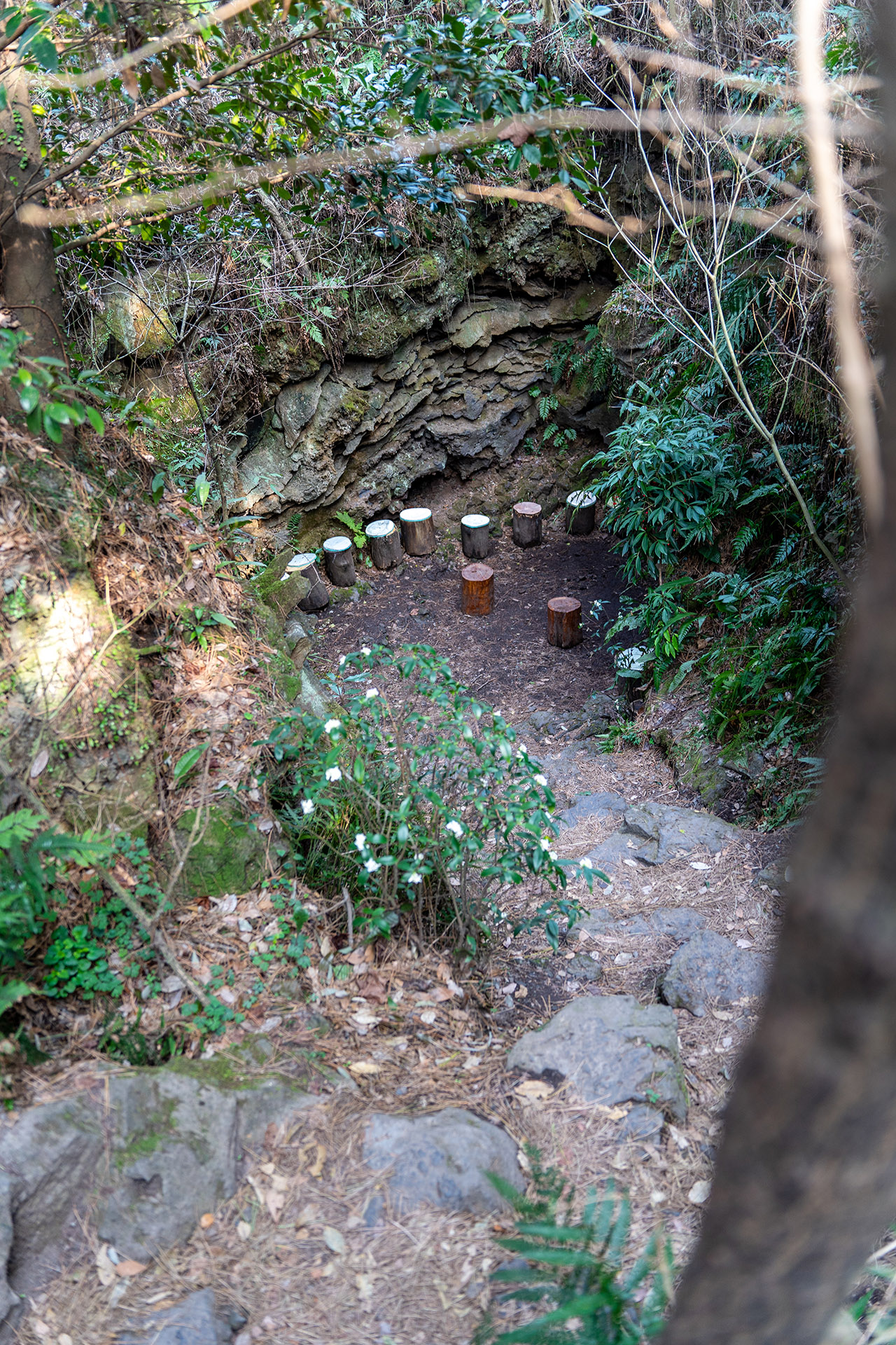 환상숲 곶자왈 공원 숨골
