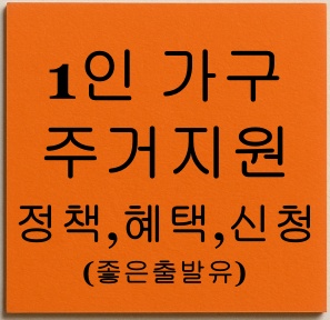 1인가구 주거지원 정책