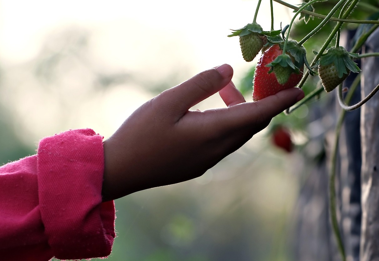 가족과 함께 체험관련 사진
