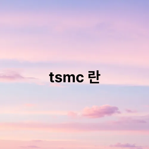 tsmc 란