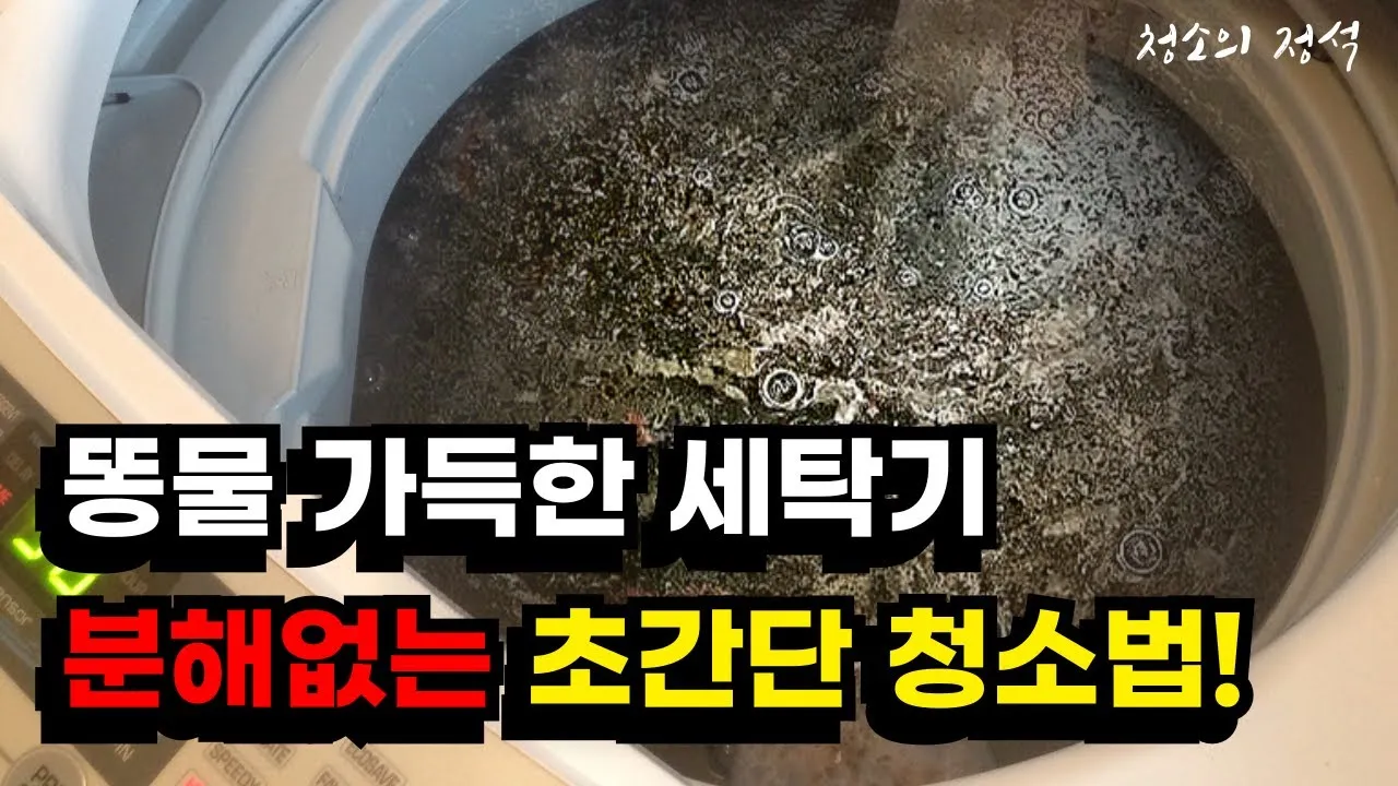 세탁기 청소 전문업체 비용 10만원 해결 후기 통돌이 세탁기 청소하는방법에 관해_2