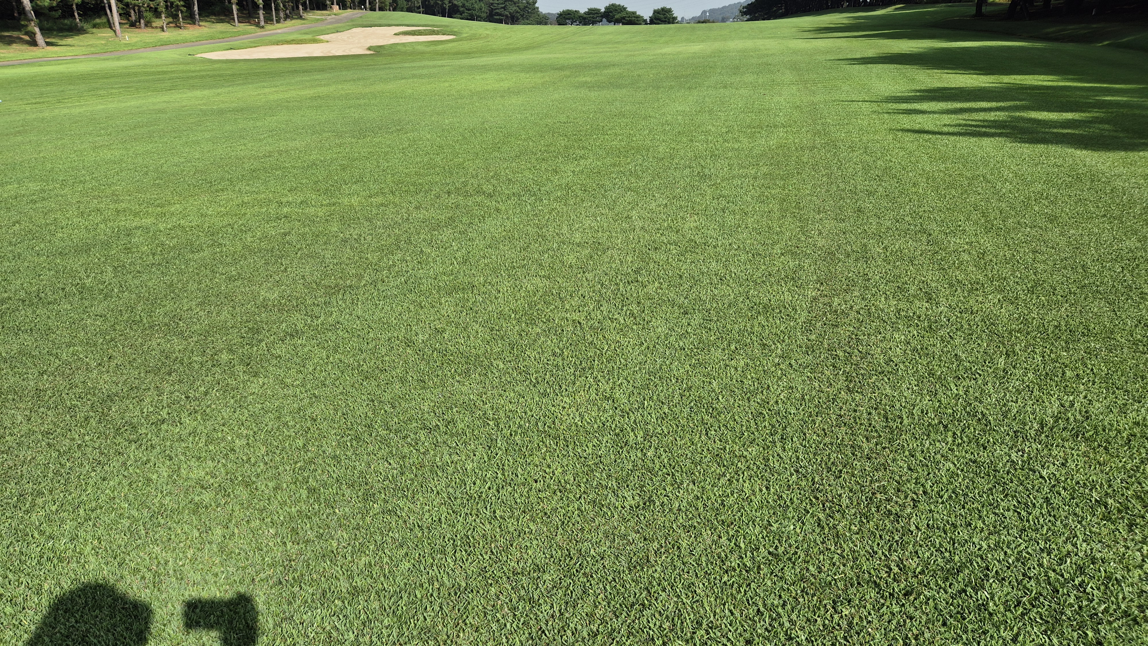 도고cc 코스 난이도