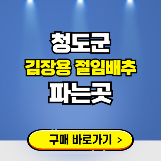 청도군 절임배추 사전예약 구입하는곳 ❘ 김장배추 파는곳 가격보기