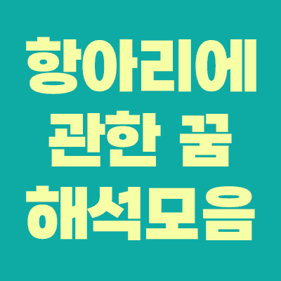항아리 꿈 해몽 풀이가 주는 현실적 경고 메시지