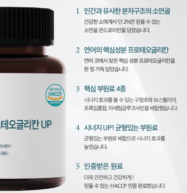 시크리터 콘드로이친 효능