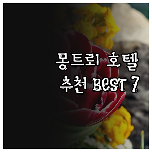 몽트뢰 호텔 추천 베스트 7.. 놓치