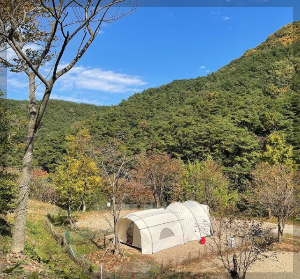 애견 동반 겨울 여행지