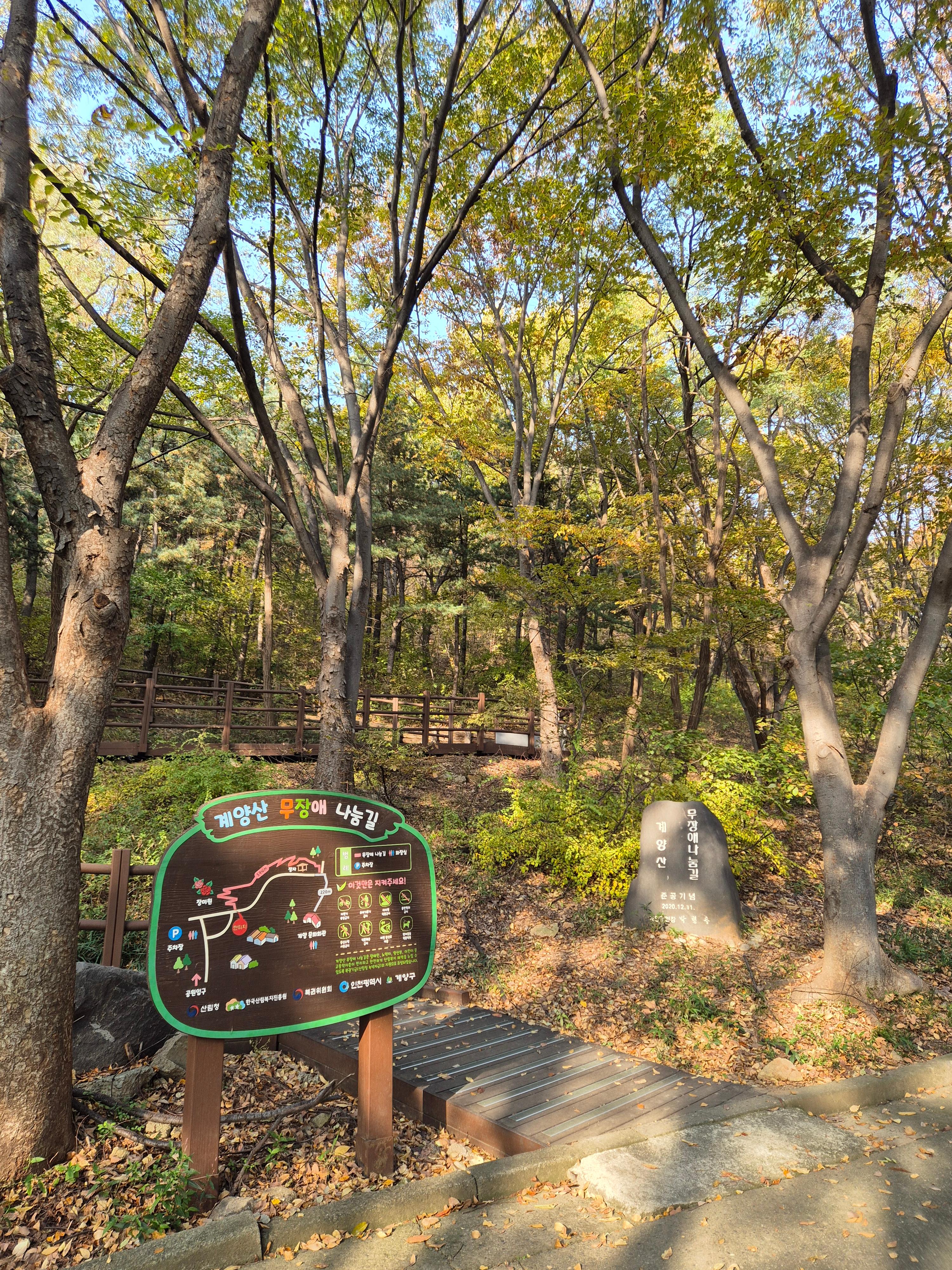 계양산 인천둘레길 내려오는 길