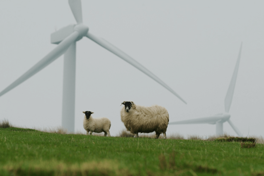 GE버노바 관련 이미지