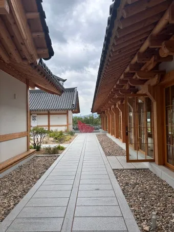 경주 대추밭 백 한의원 평일에 5대 원장님 만나본 후기_19