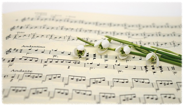 벨소리 파일 목록 보는방법 안내