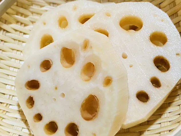 연근 폴리페놀 성분