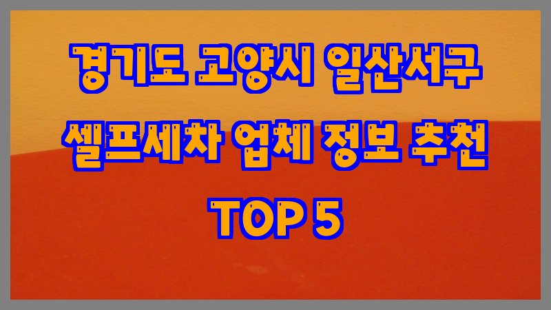 경기도 고양시 일산서구 셀프세차