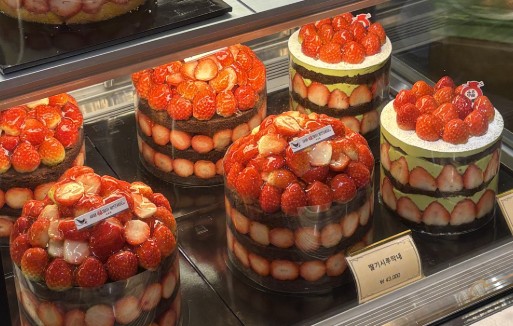 성심당 빵지순례법