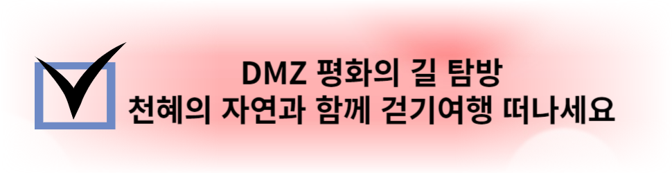 DMZ 평화의 길 탐방