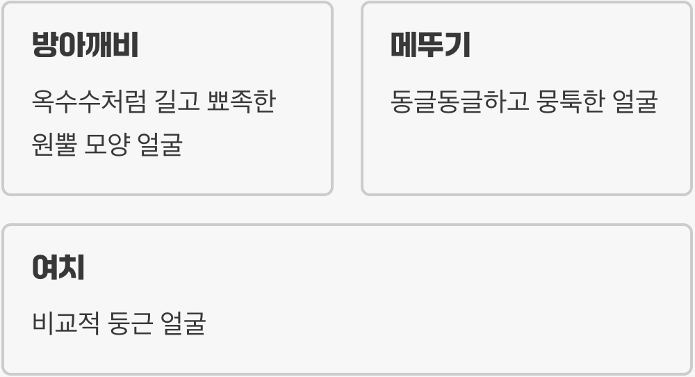 첫 번째 단서: 뾰족한 얼굴 vs 동글동글한 얼굴