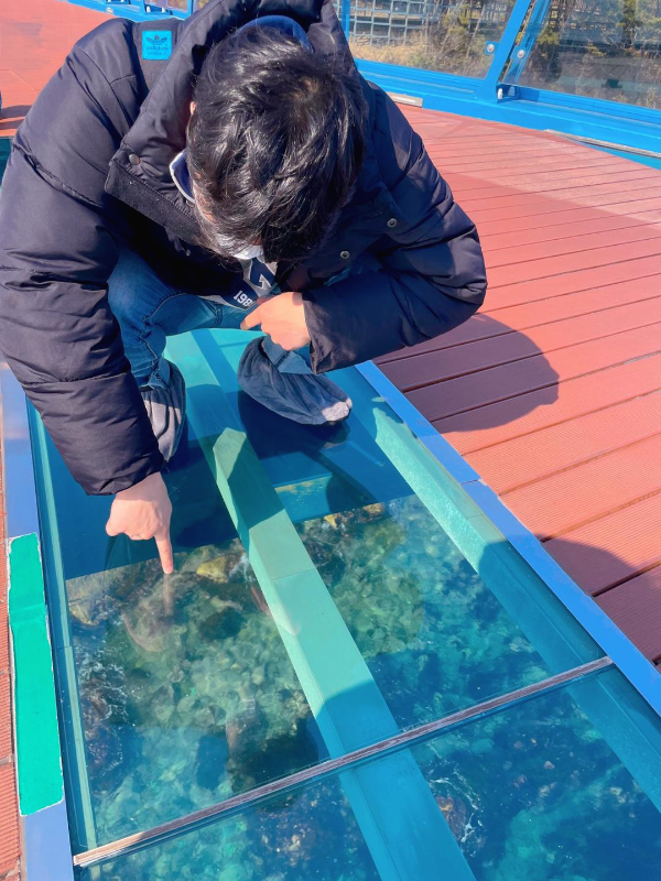부산캡슐열차