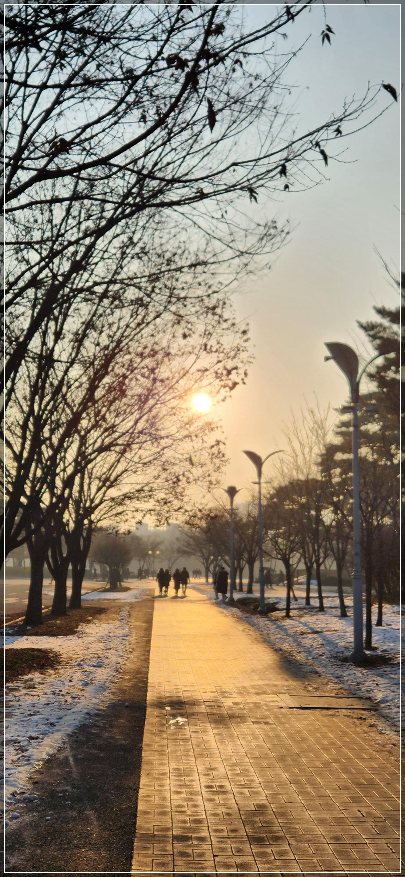 월드컵공원평화공원8M억새대형토끼