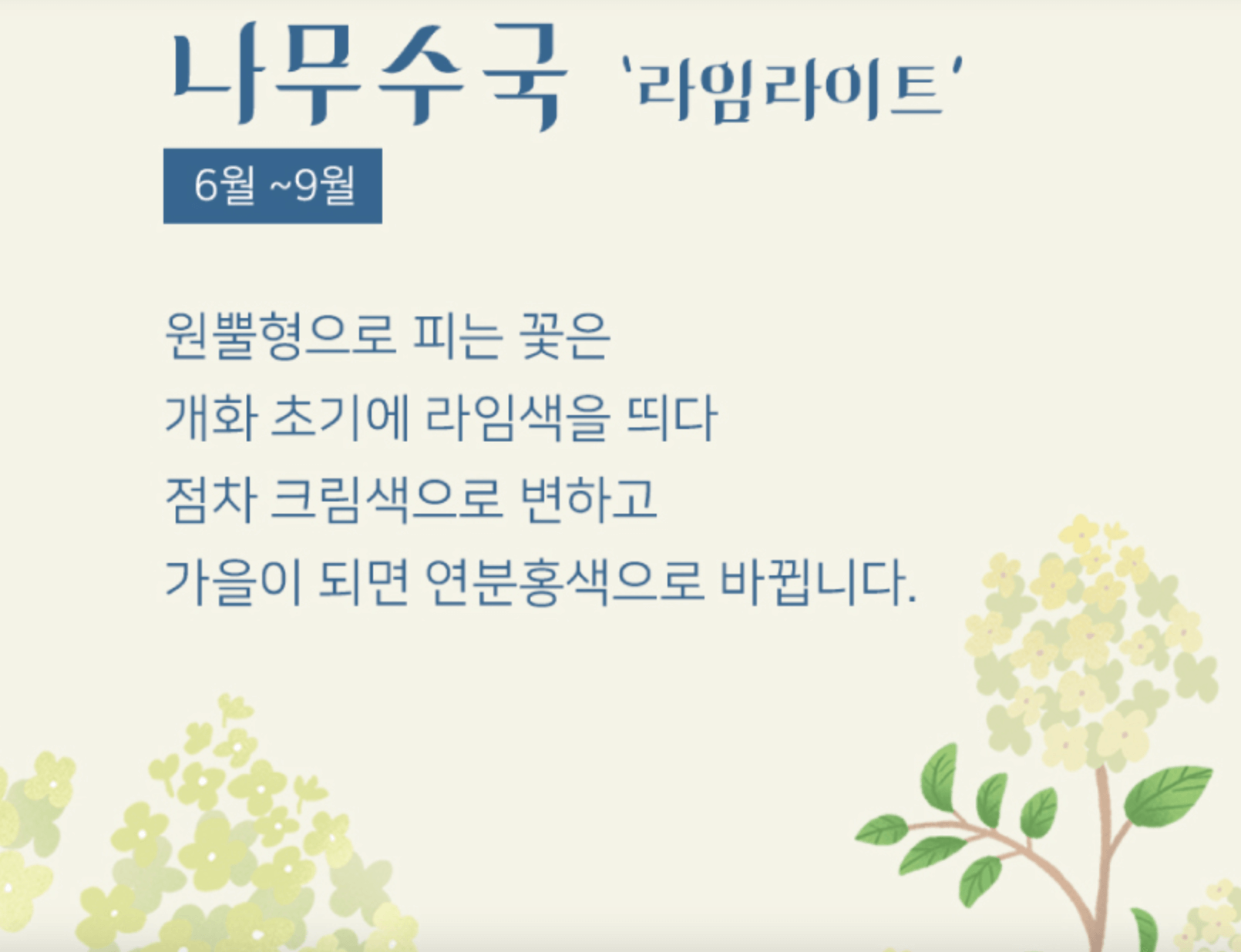 화담숲 여름 수국축제 일정 및 예약방법