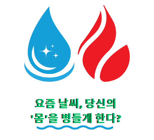 기온 변화와 건강: 폭염, 한파가 우리 몸에 미치는 현실적 영향