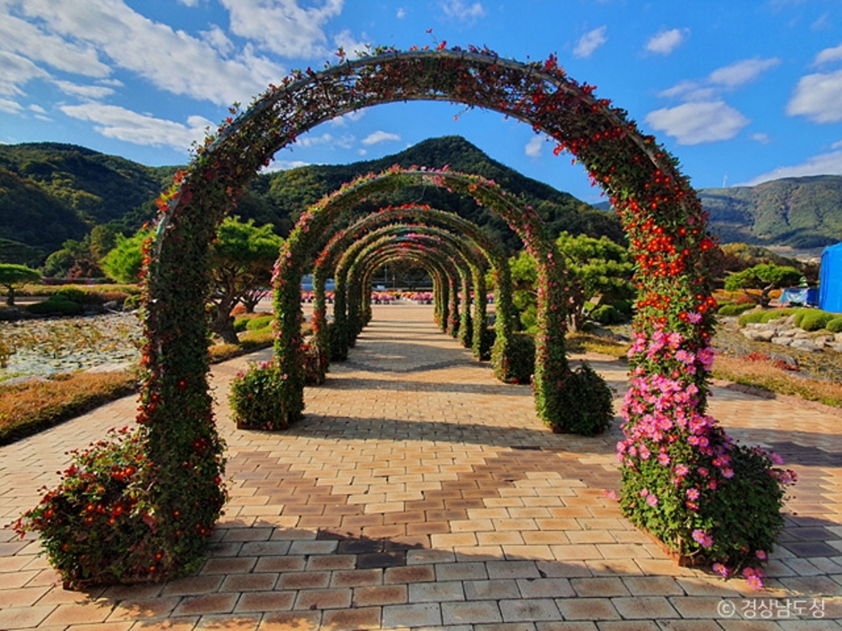 거창 가볼만한곳 베스트10