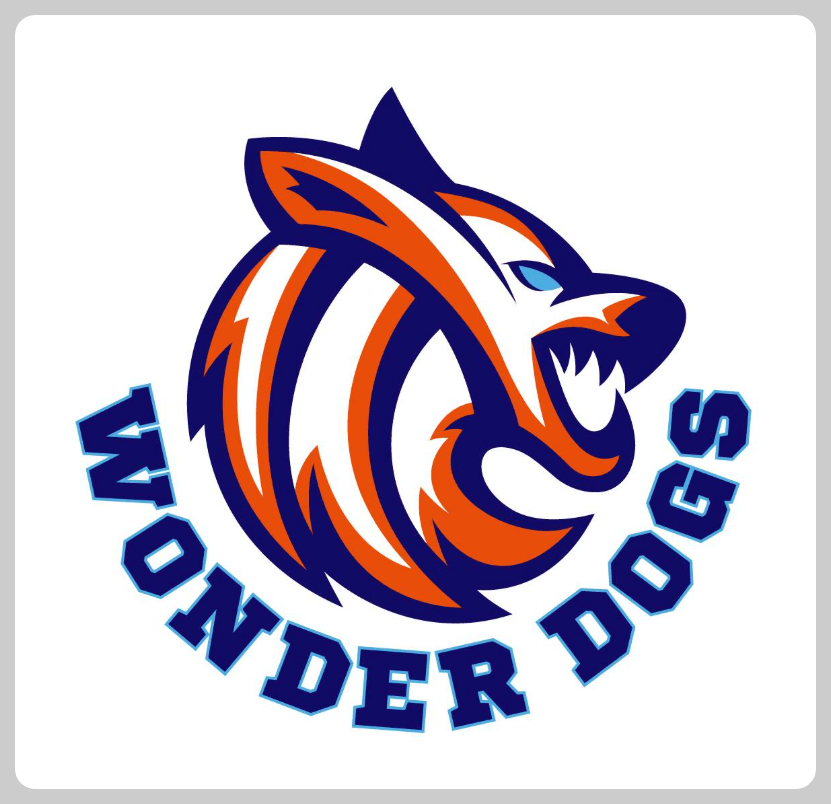 원더독스 배구단