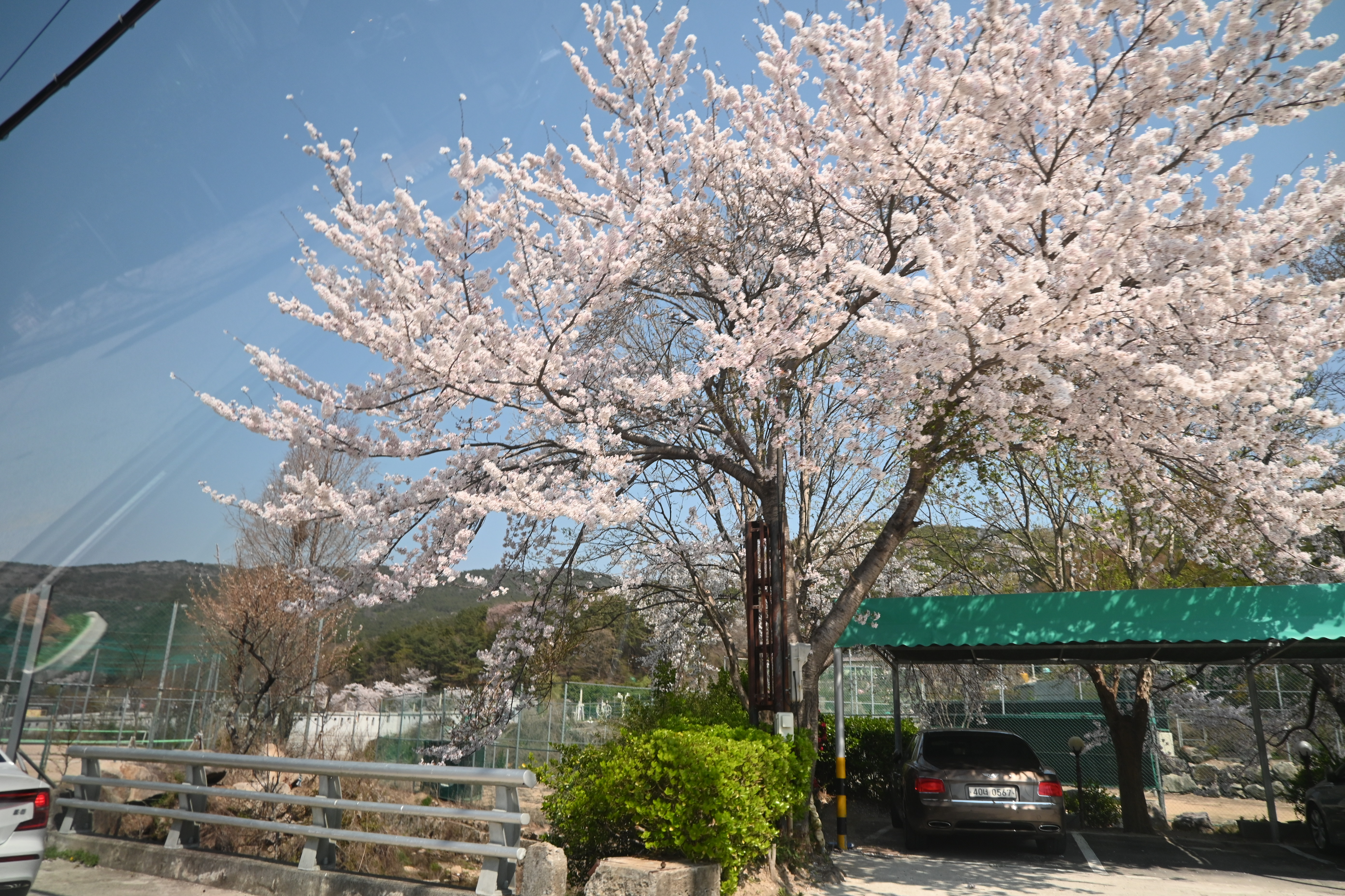 금정산성 드라이브 길