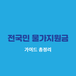 전국민 물가지원금