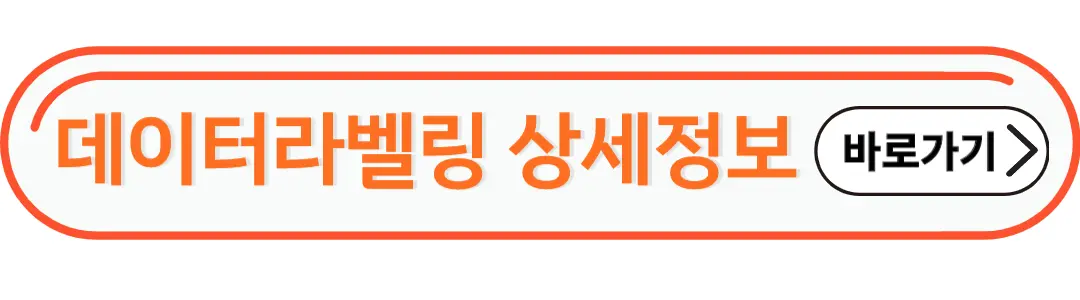 데이터라벨링 상세정보