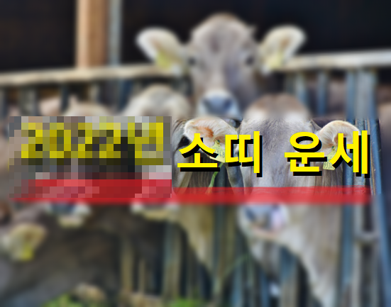 소들이-모여있다