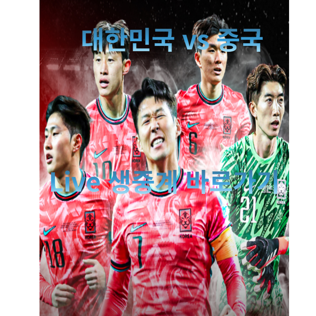 대한민국국가대표