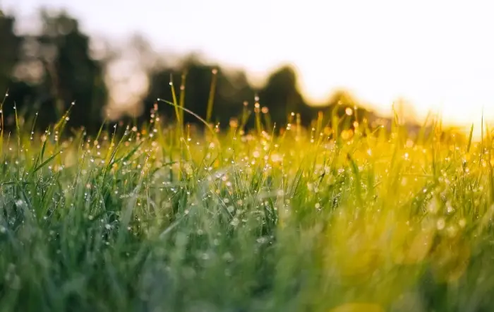 쯔쯔가무시 예방법