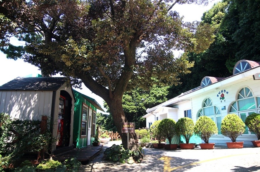 지심도 숙박시설