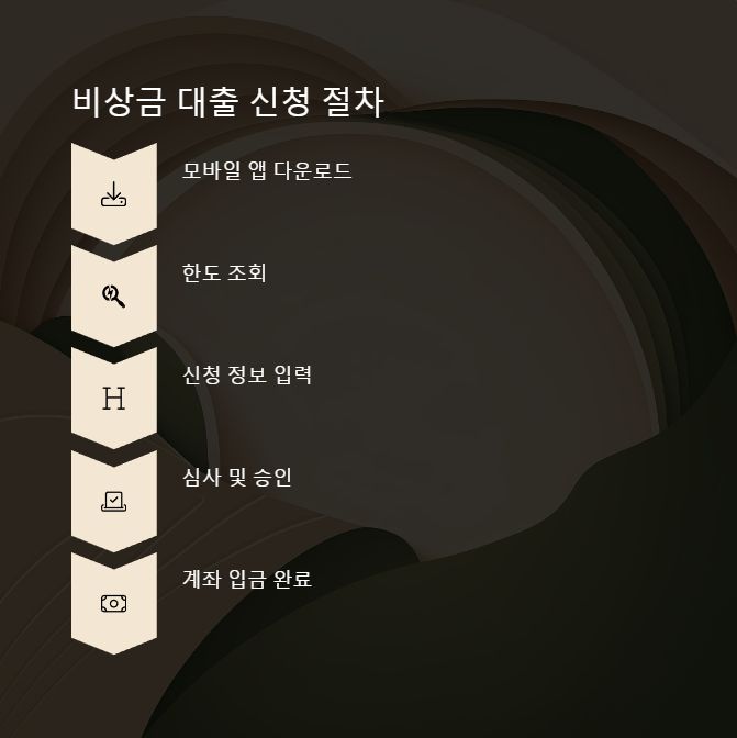 비상금 대출 신청 절차