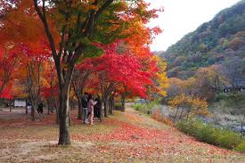 경북 가을 산행지 추천