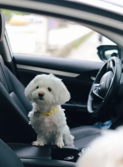 ๋ชฐํฐ์ฆ2