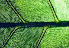 62년생 국민연금 수령나이 수령시기