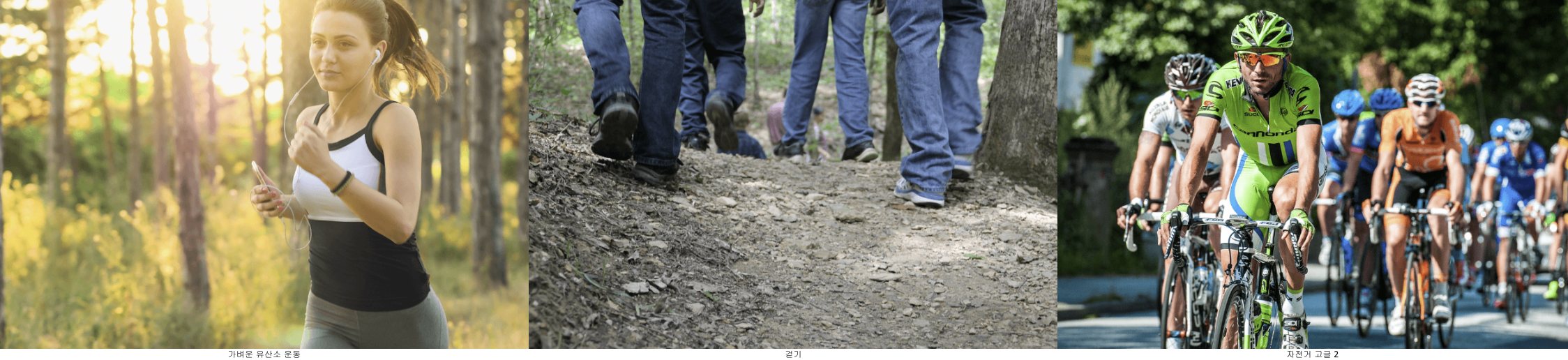 가벼운 유산소 운동