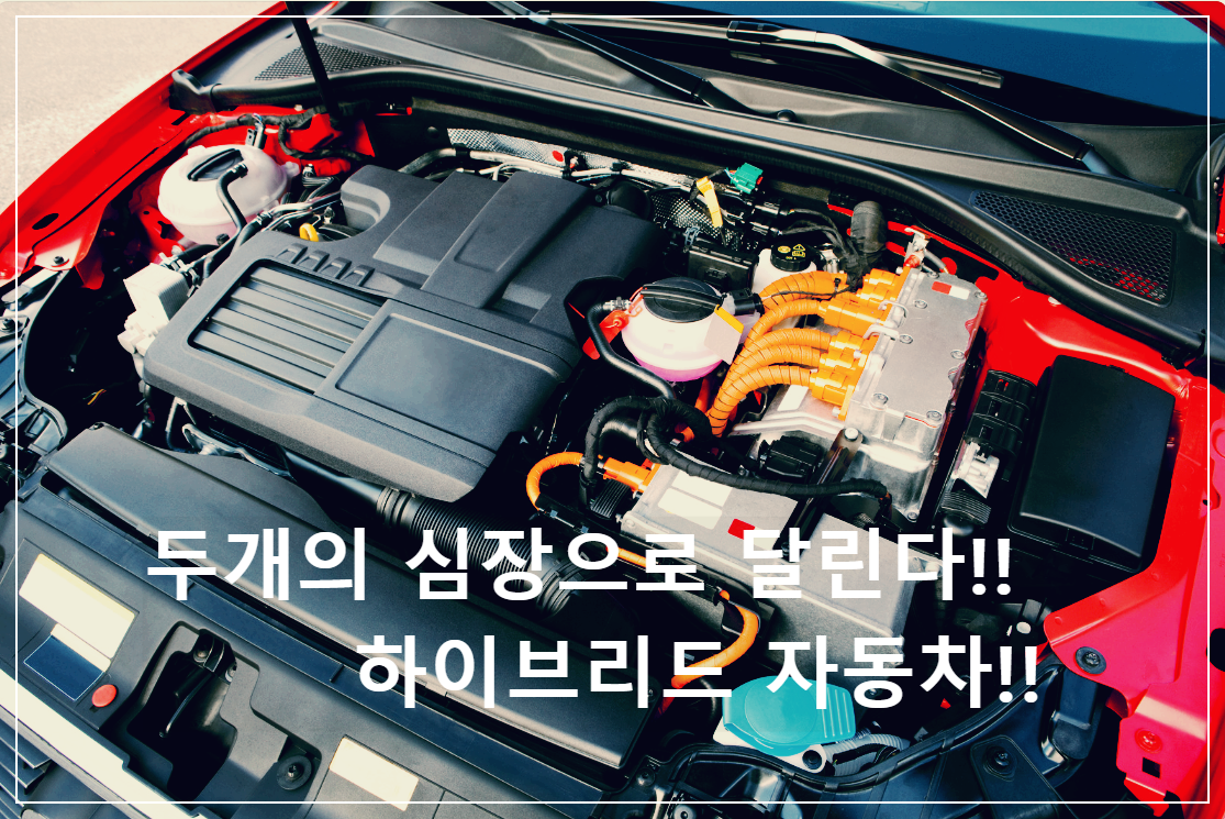 하이브리드 자동차